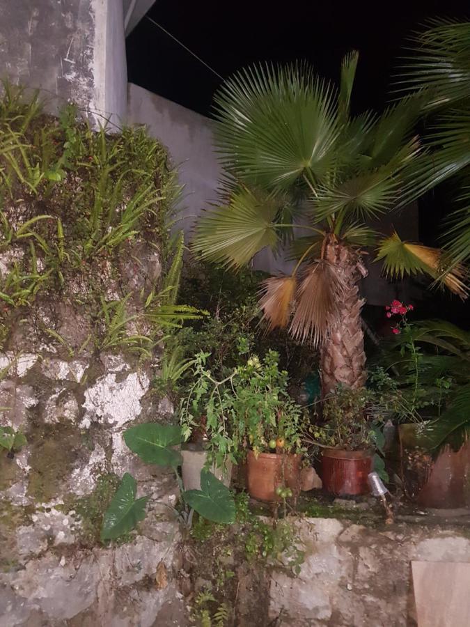 Posada Don Felipe Cuetzalán del Progreso Exteriör bild